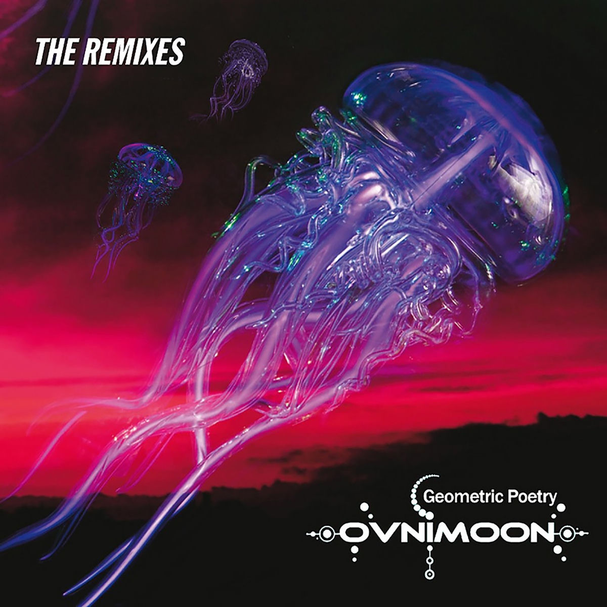 Album cover of Geometric Poetry (The Remixes)