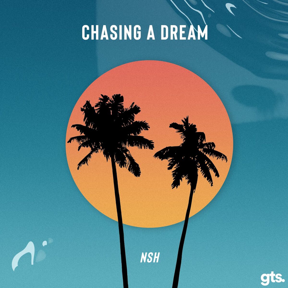 Album cover of Chasing a Dream