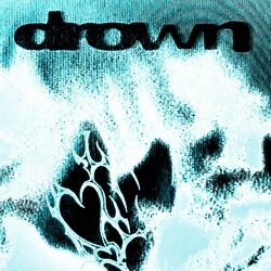 Cover of drown