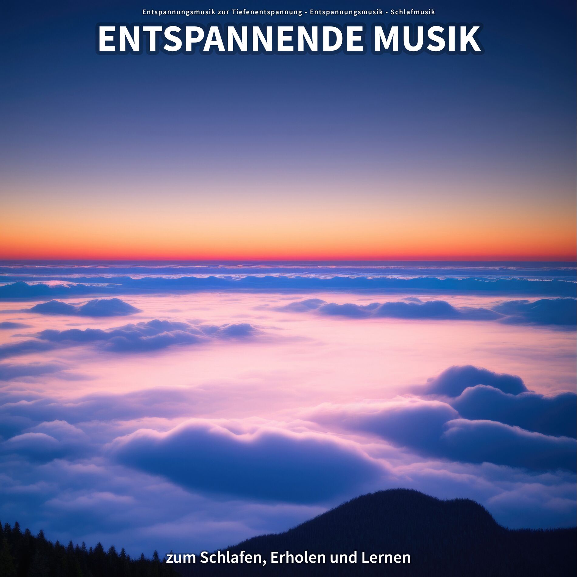Album cover of Entspannende Musik zum Schlafen, Erholen und Lernen