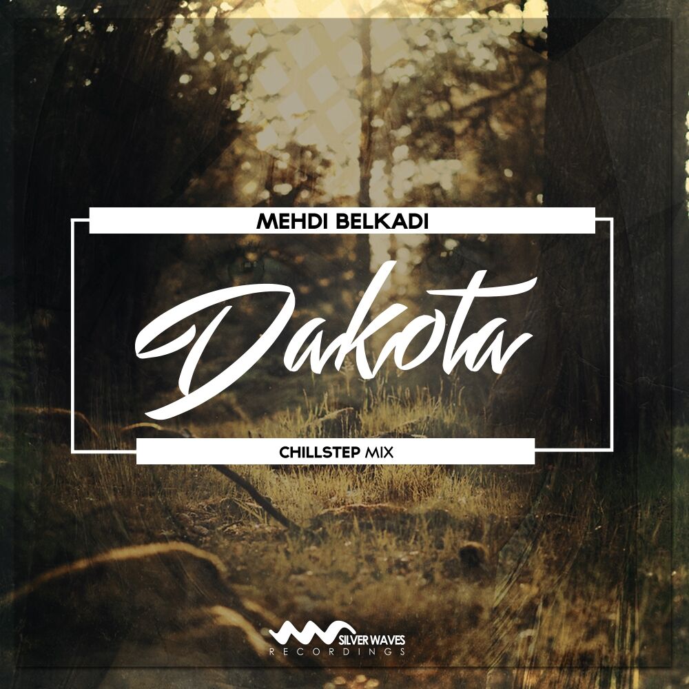 Picture of Dakota (Chillstep Mix)
