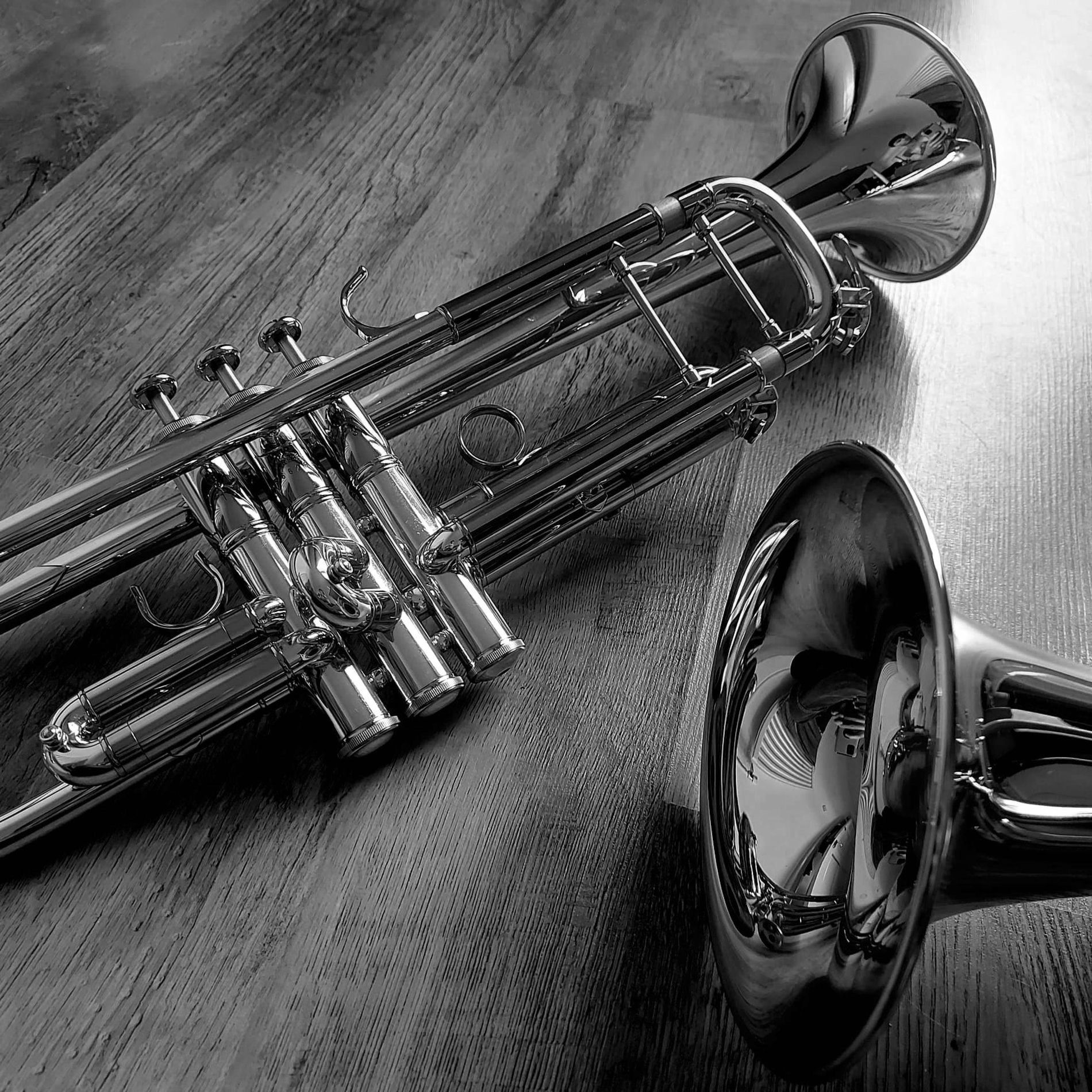 Album cover of No Diggity