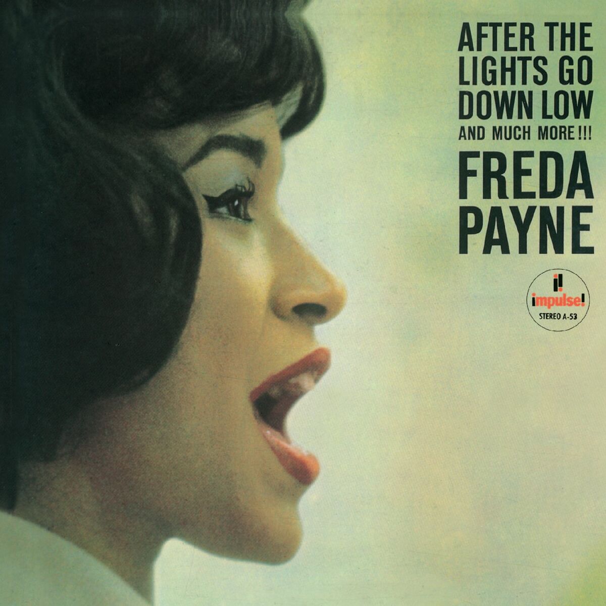 Album cover of After The Lights Go Down Low And Much More!!!