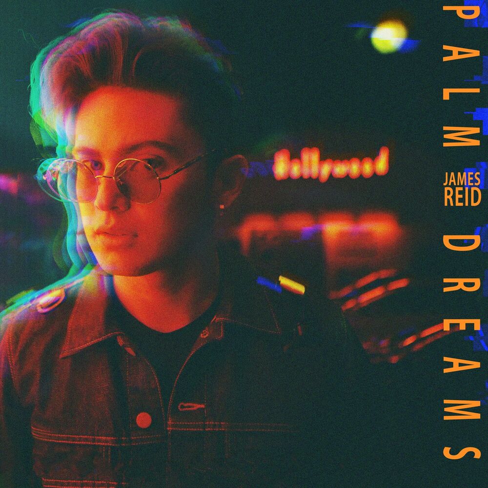 Picture of Palm Dreams