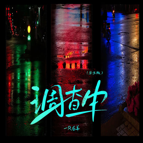 调查中 (学生版)