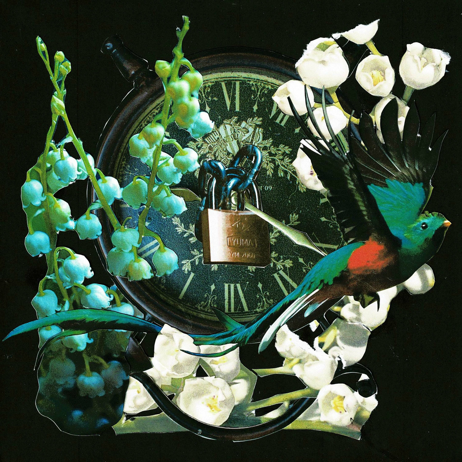 Album cover of DAY AFTER DAY