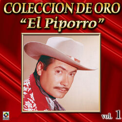 Cover of Colección De Oro: Mariachi Y Norteño, Vol. 1