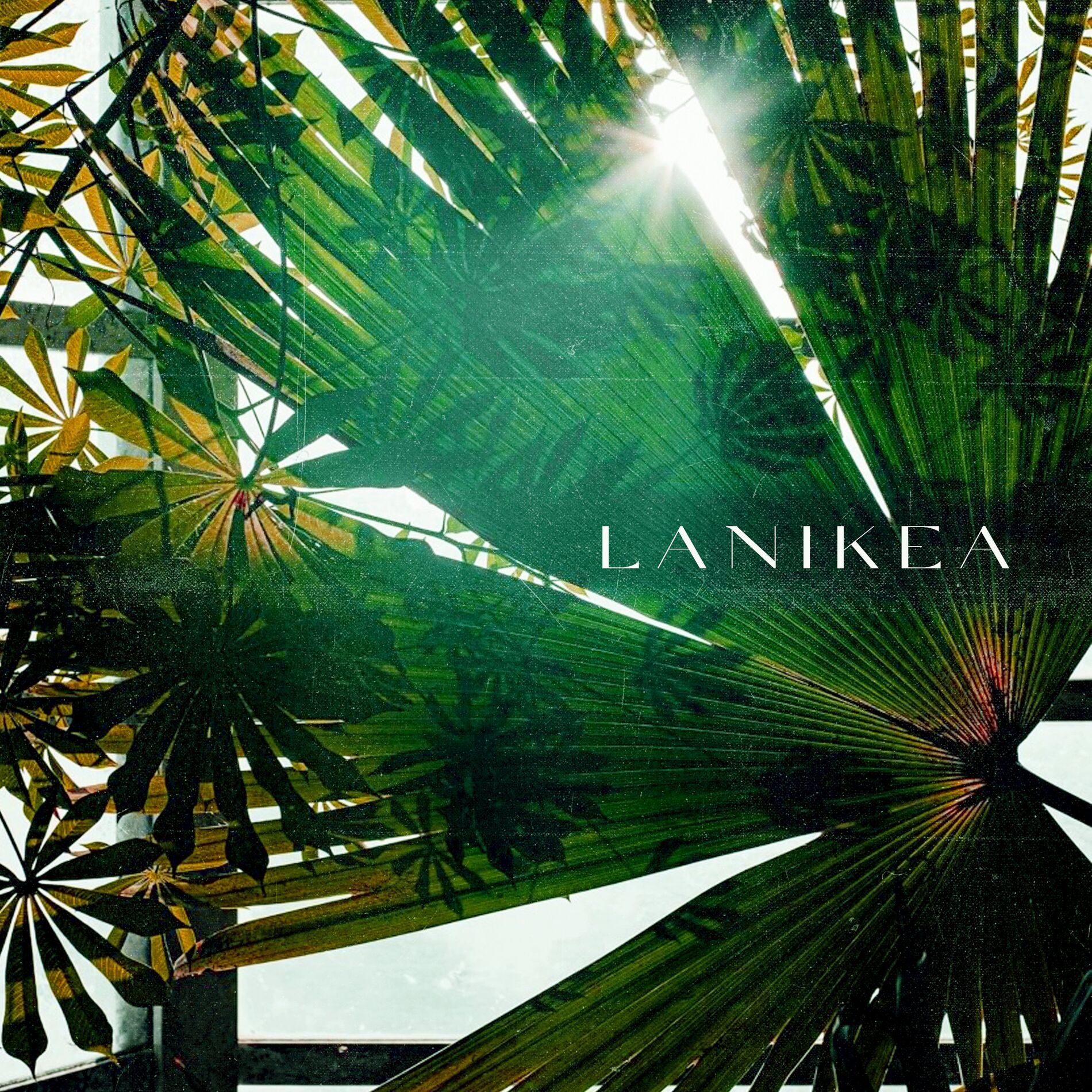 Album cover of Lanikea