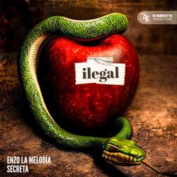 Cover of Ilegal