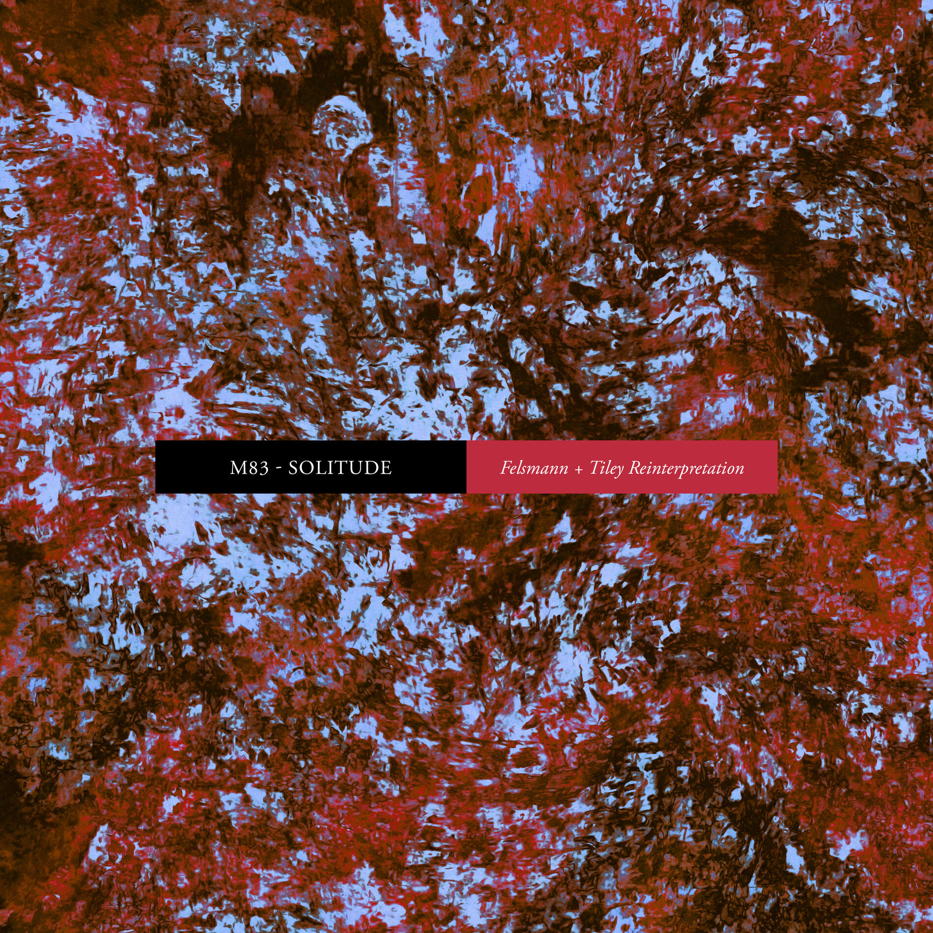 Album cover of Solitude