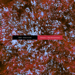 Cover of Solitude (Felsmann + Tiley Reinterpretation)