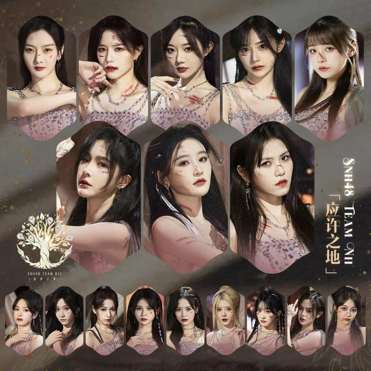 SNH48 Team NII 