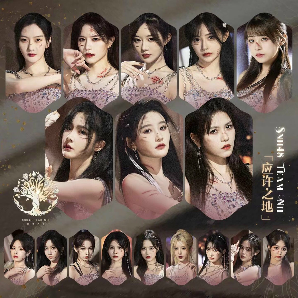 SNH48 一心向前 豪華版 中国盤 Amazon.co.jp: 一心向前 標準版 ［