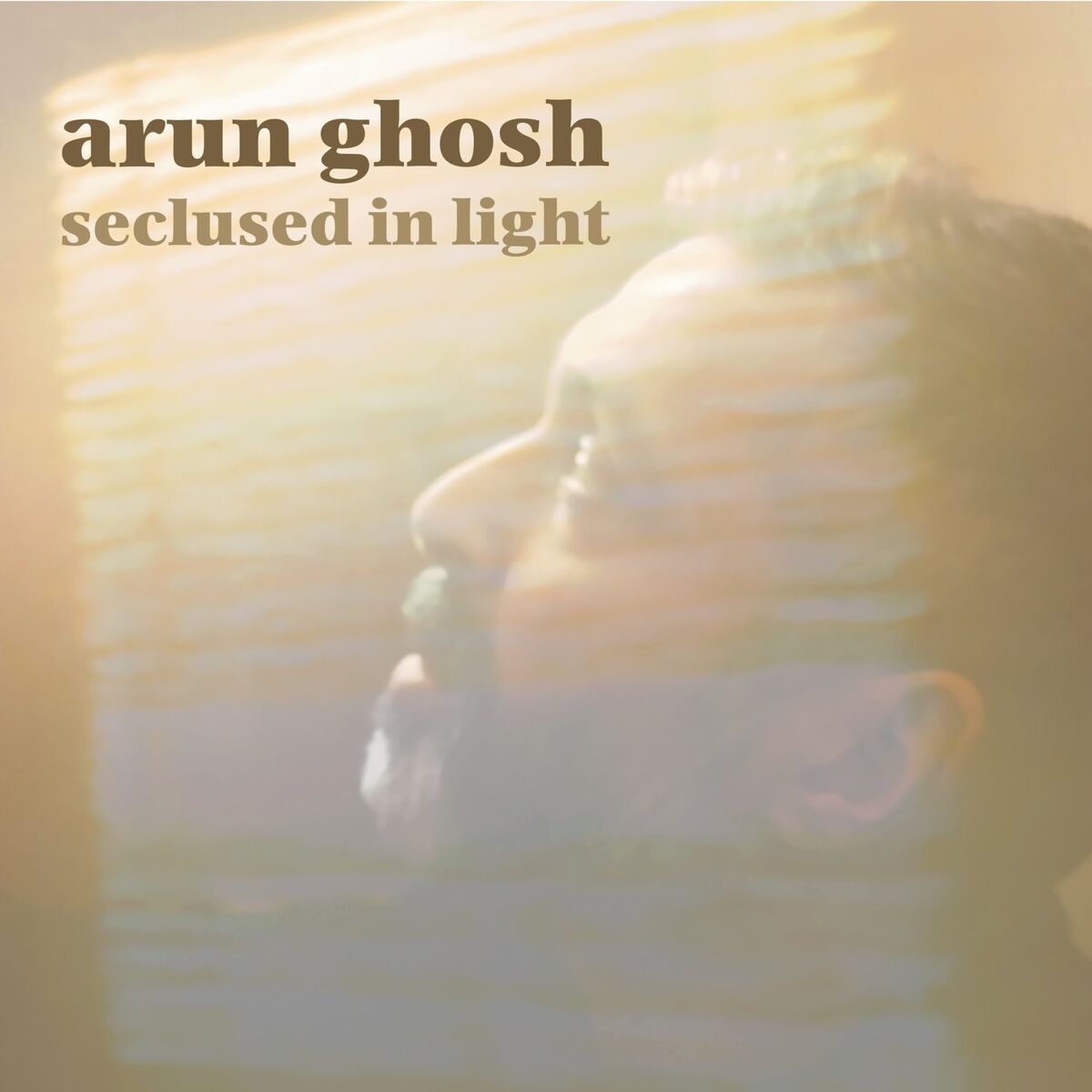Album cover of Seclused in Light