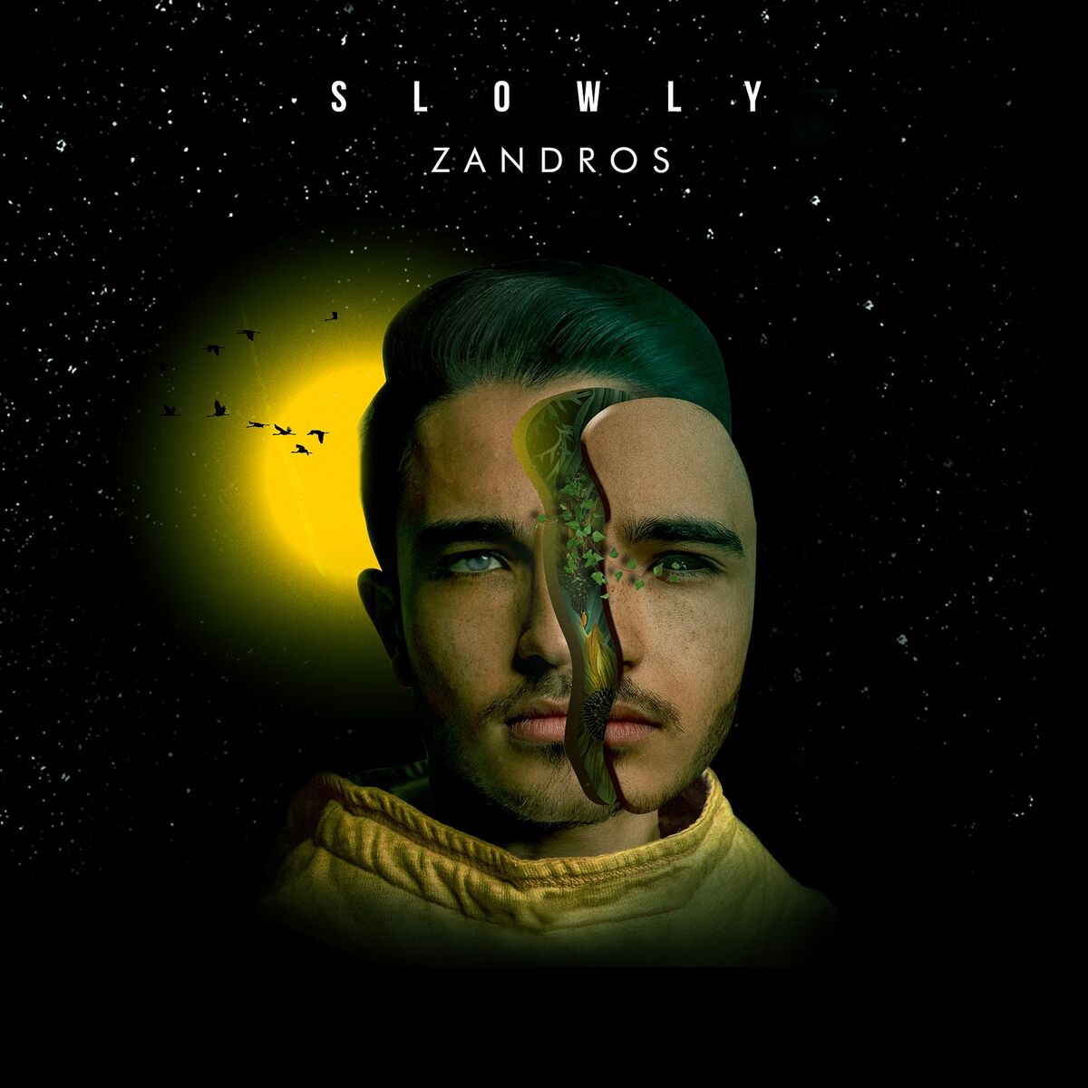 Album cover of Slowly
