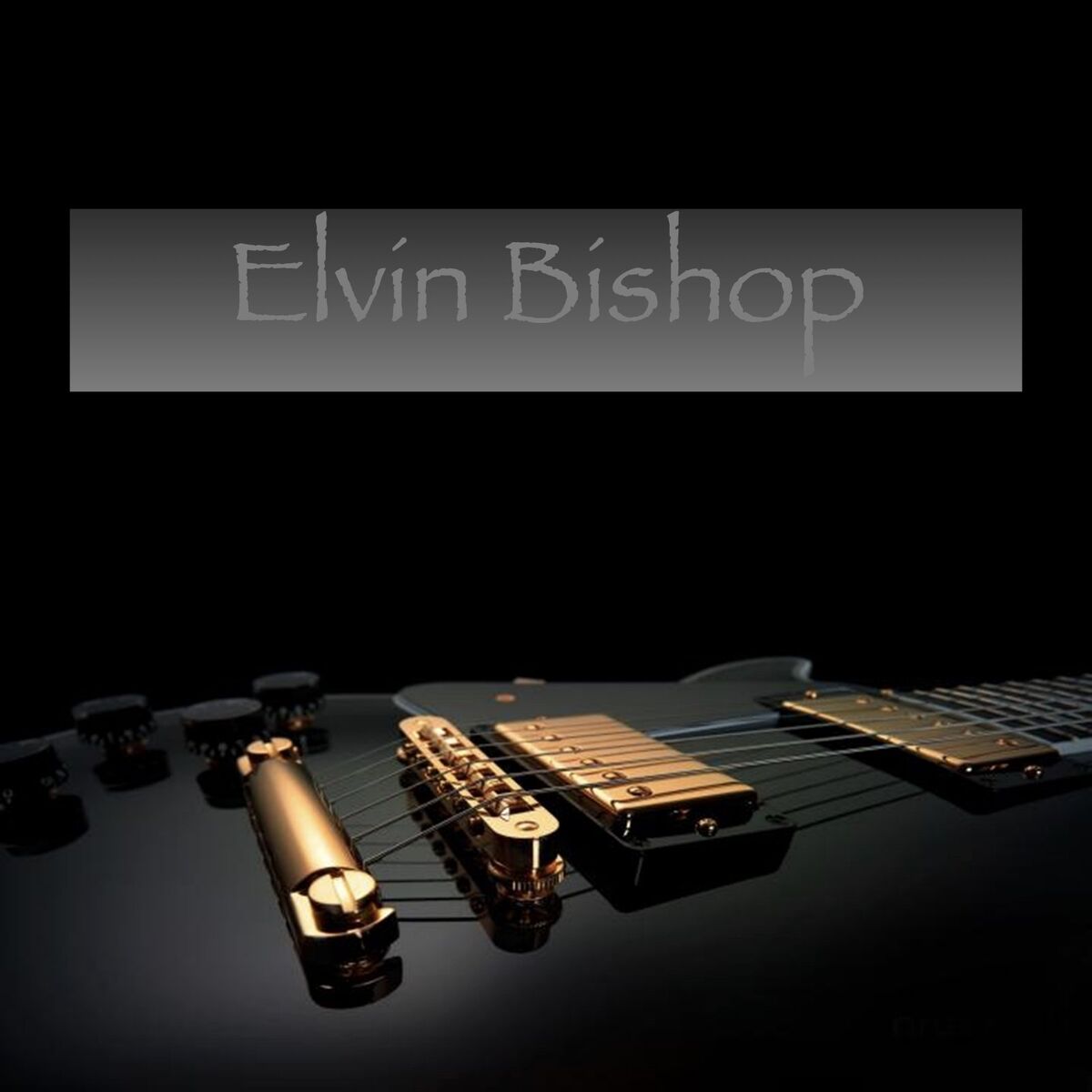Album cover of Elvin Bishop - WLIR FM Broadcast My Father's Place Roslyn New York NY 23rd November 1979.