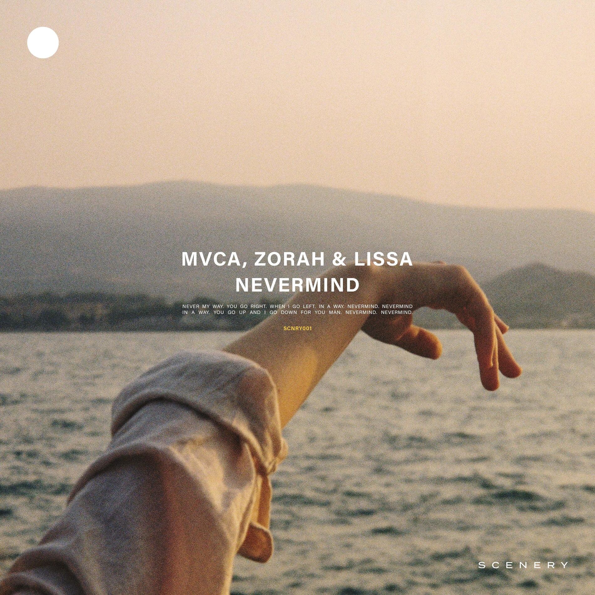 Album cover of Nevermind