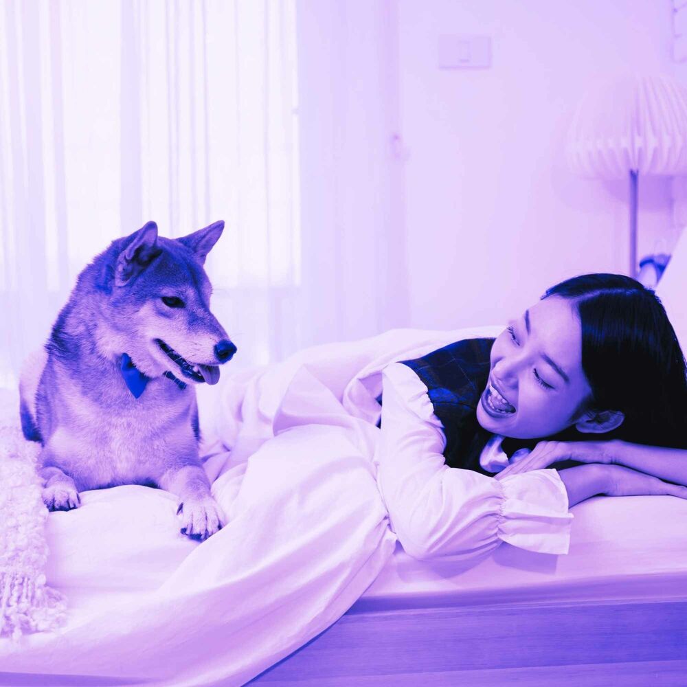 Picture of Bgm for Serene Doggy