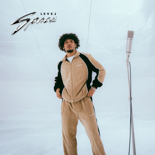 Blunt für dich (Level Space Edition) cover art