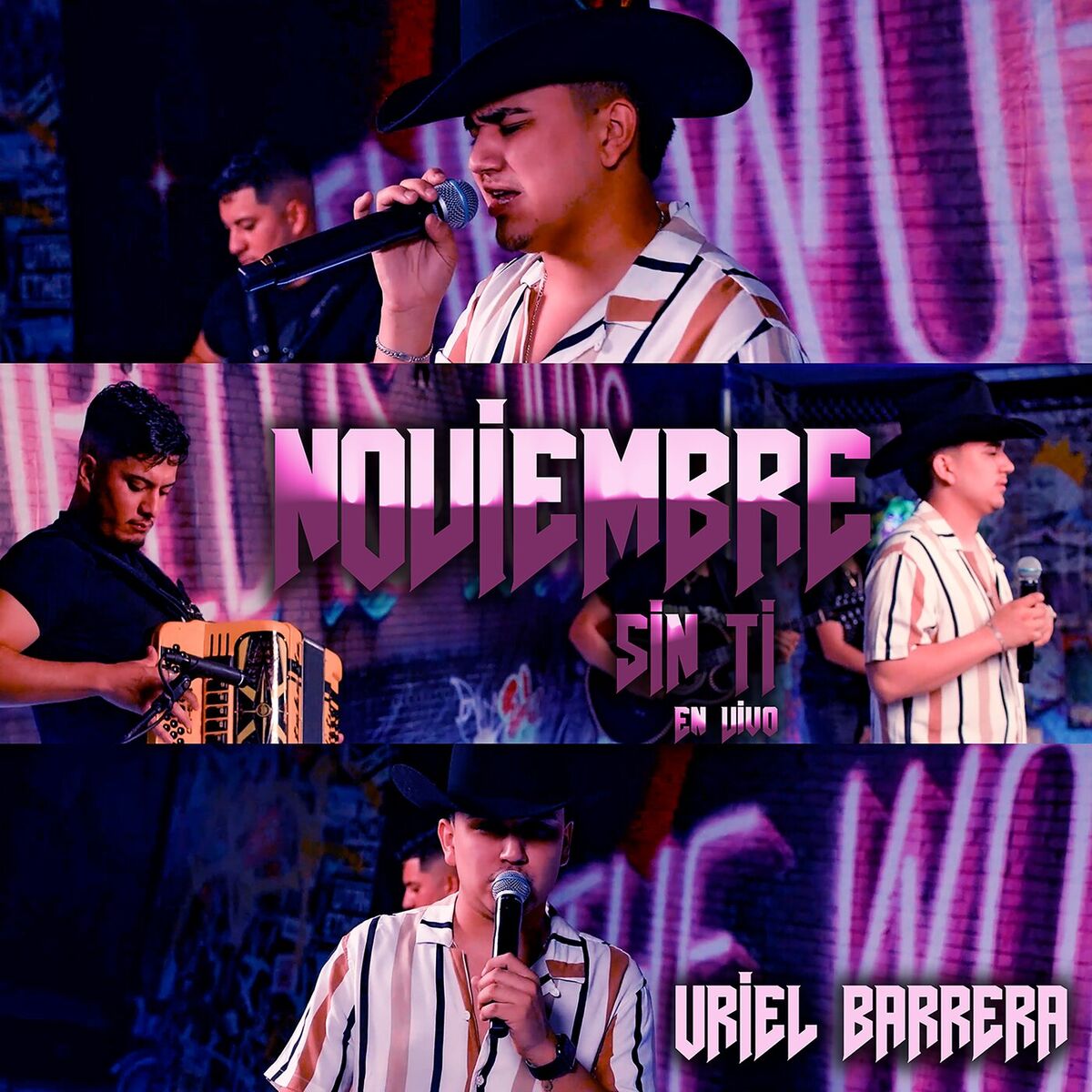 Album cover of Noviembre Sin Ti (En Vivo)