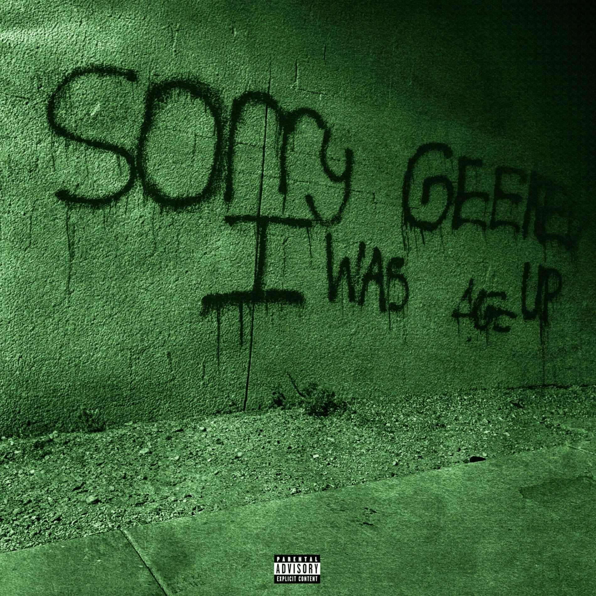 Album cover of SORRY I WAS GEEKED UP