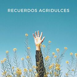 Cover of Recuerdos Agridulces