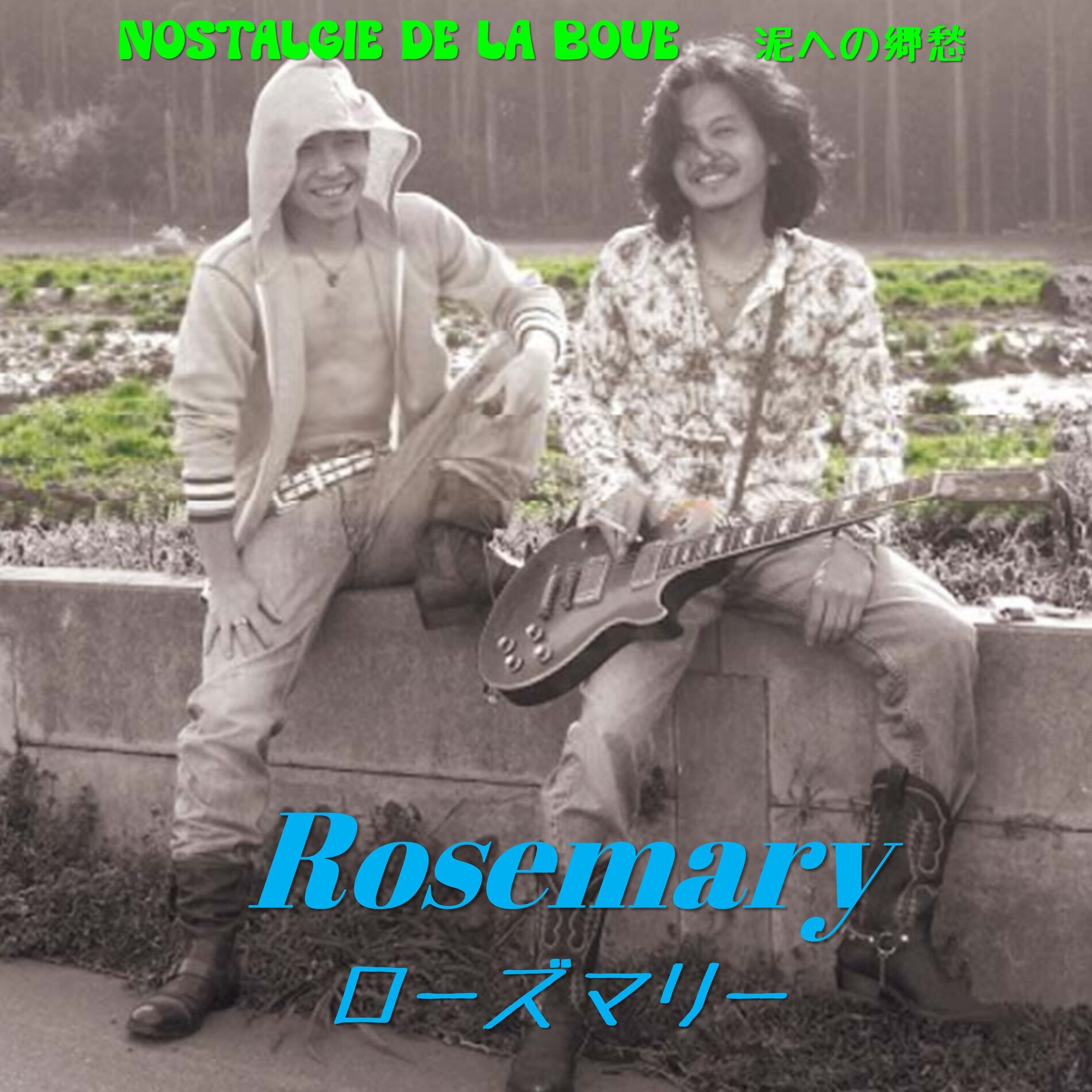 Album cover of nostalgie de la boue