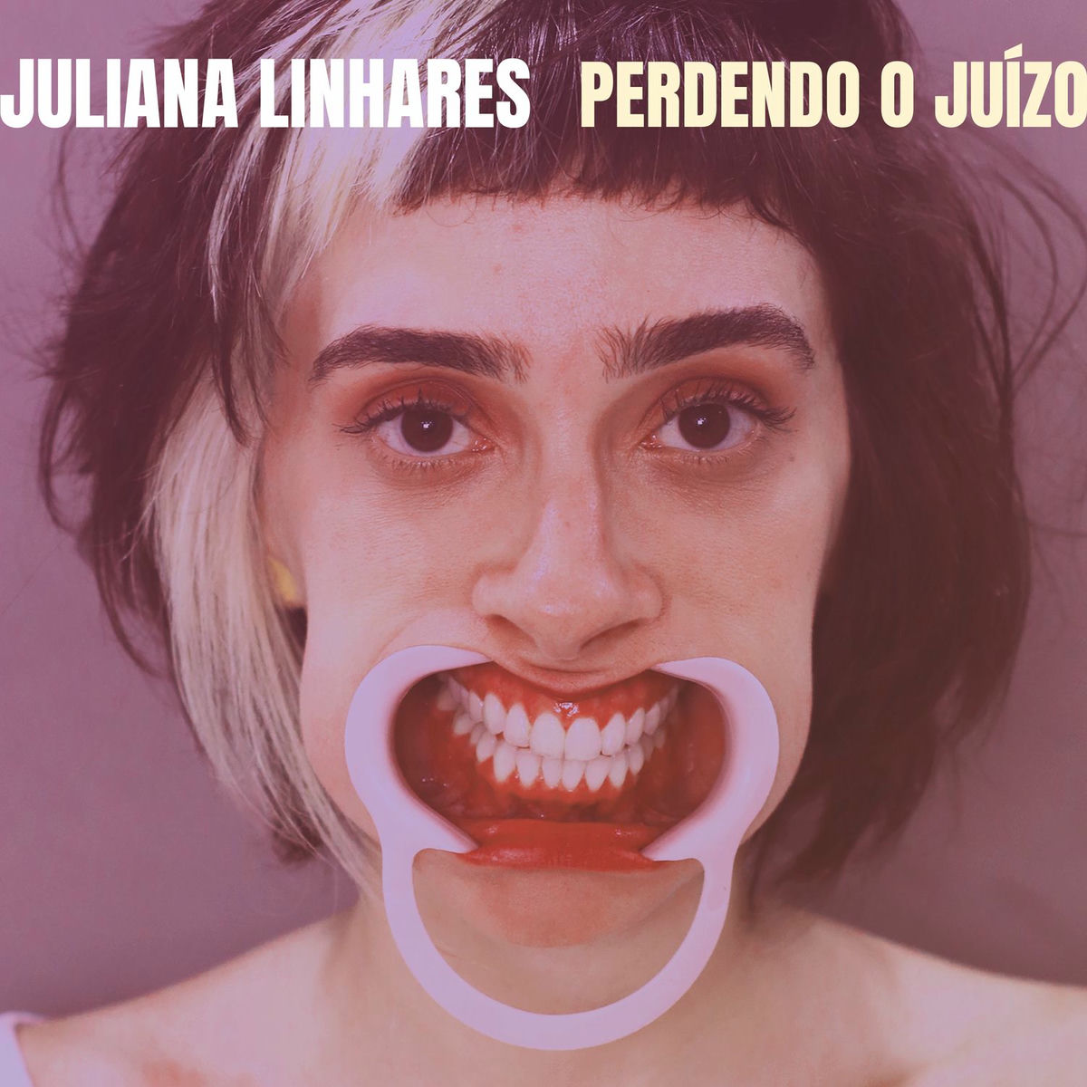Album cover of Perdendo o Juízo