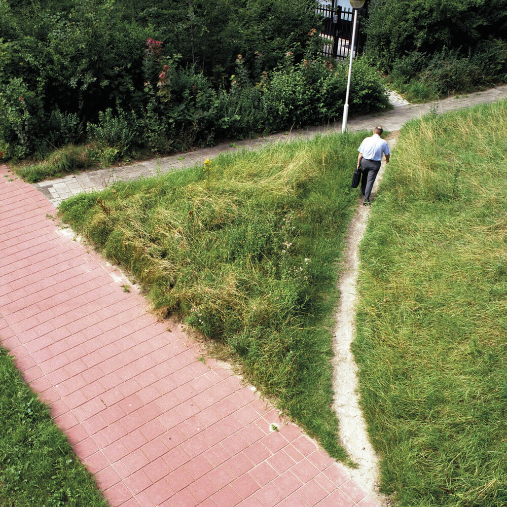 Picture of Caminitos del Deseo