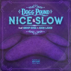 Cover of Nice & Slow