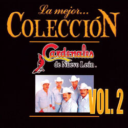 Cover of La Mejor Colección (Vol. 2)
