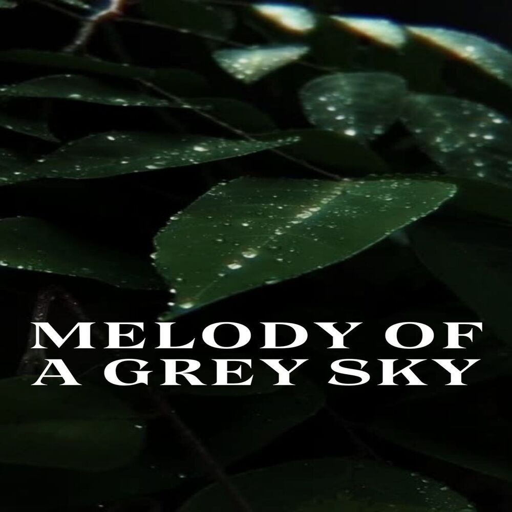 Picture of Melody of a Grey Sky