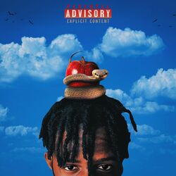 Cover of Temptation