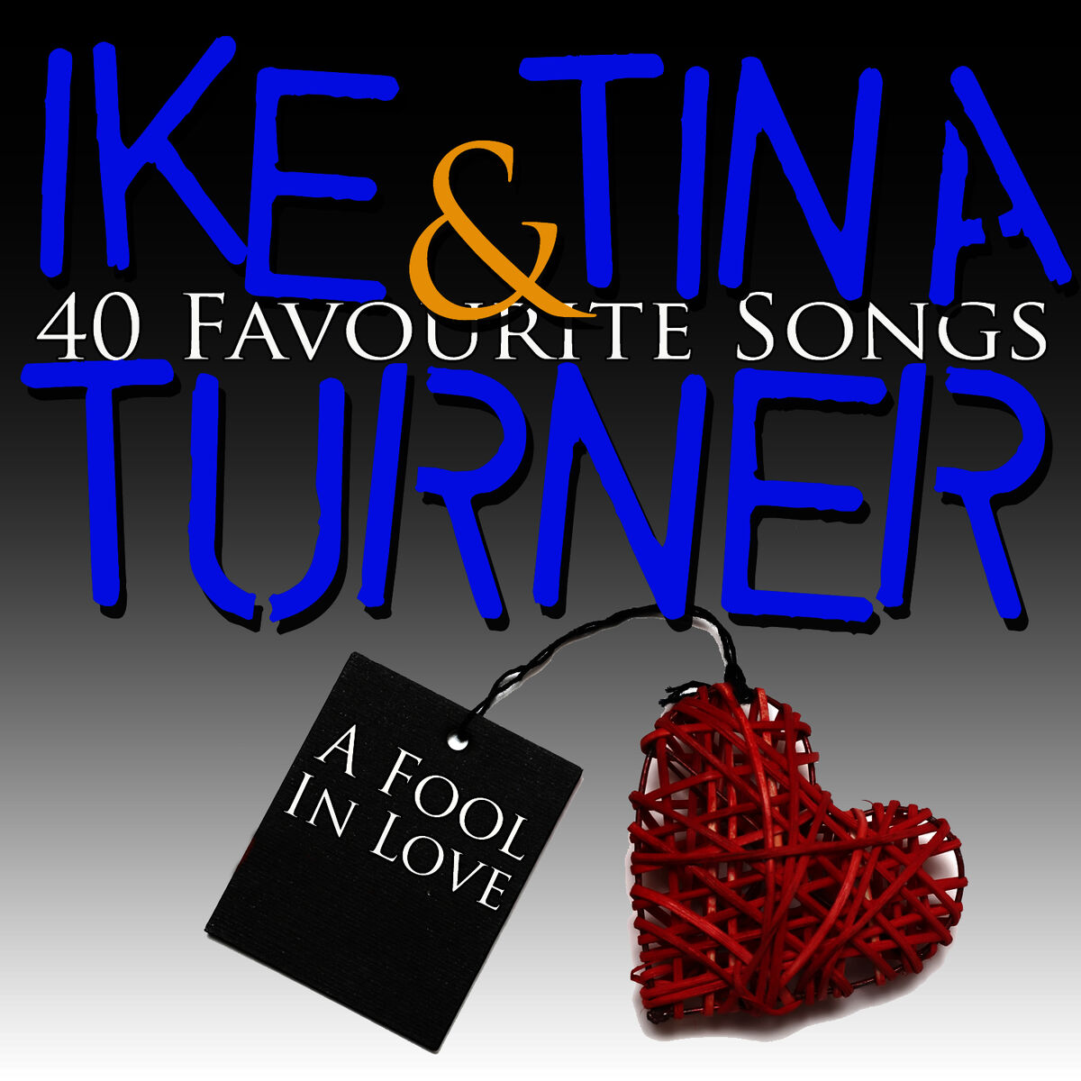 Album cover of A Fool In Love - 40 Favourite Songs
