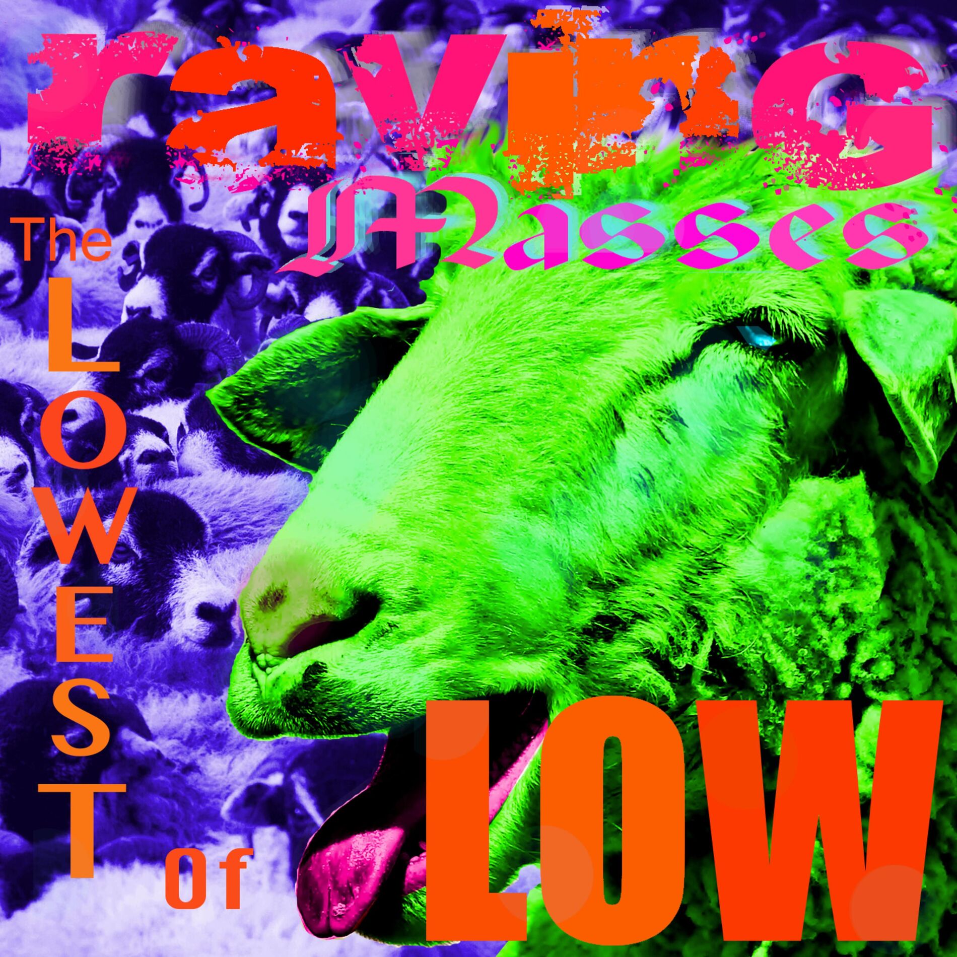 Album cover of Raving Masses