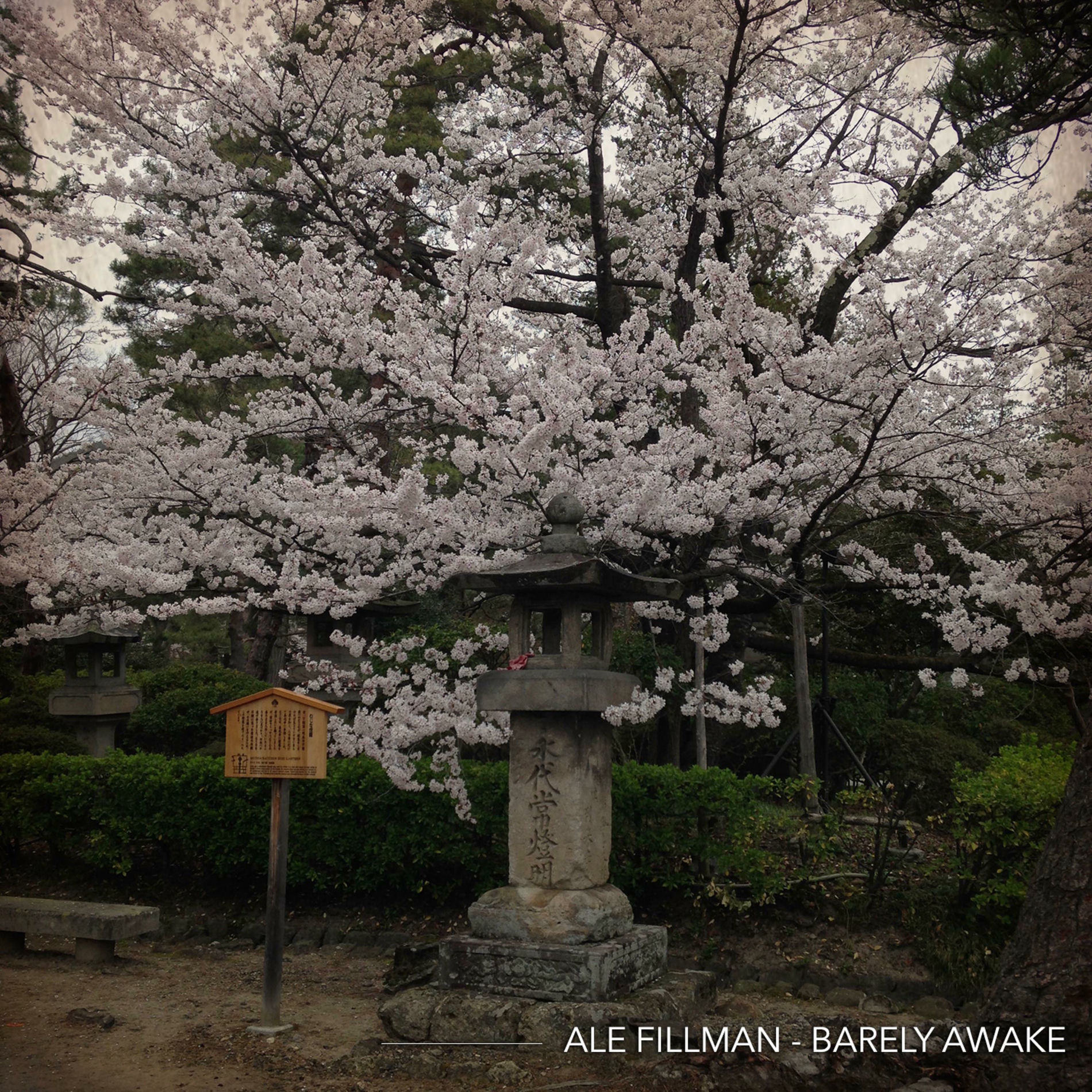 Album cover of Barely Awake