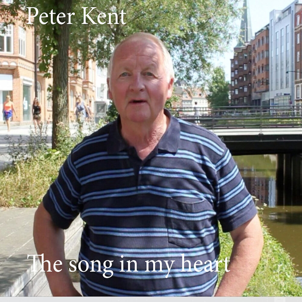 Picture of The Song in My Heart