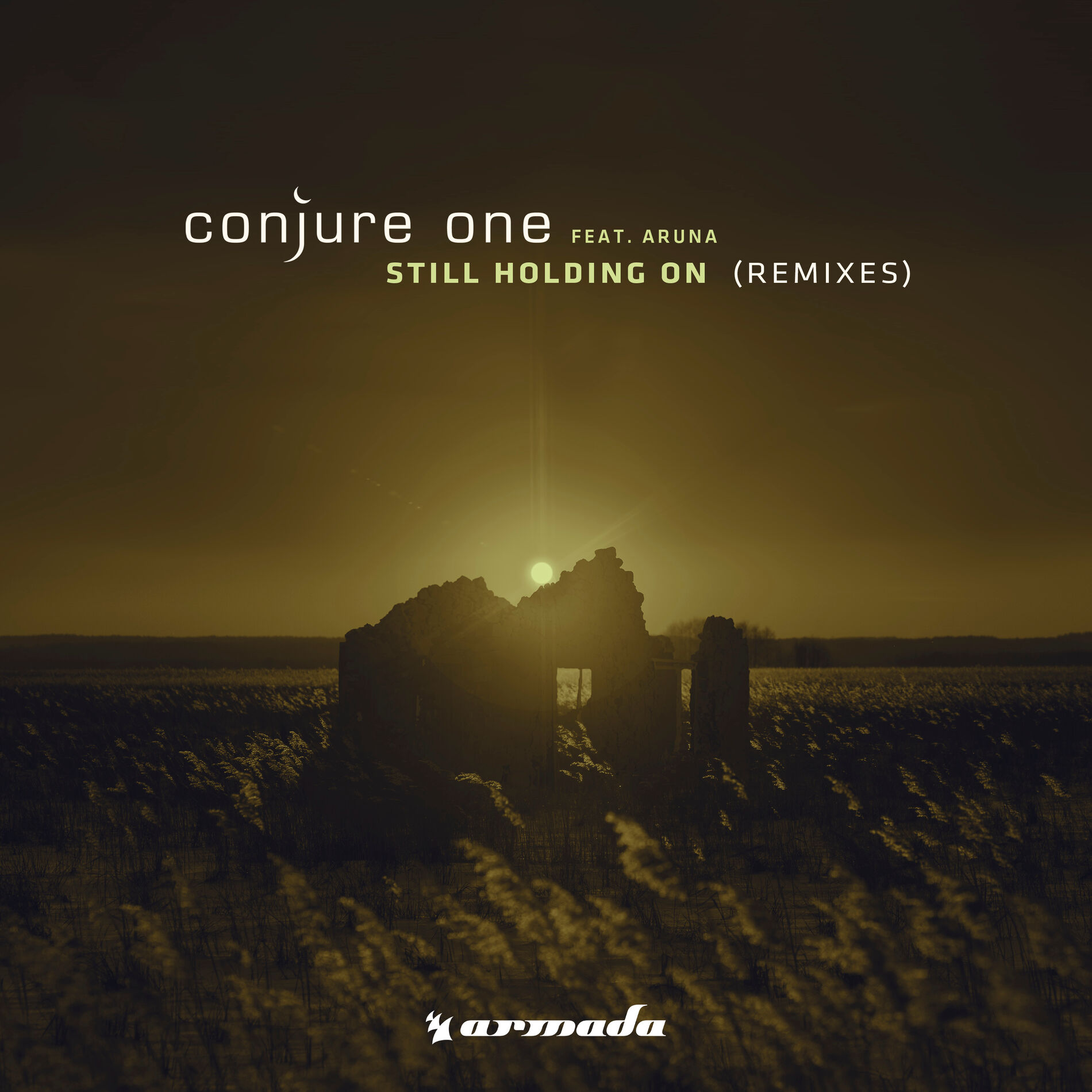 Album cover of Still Holding On (Remixes)