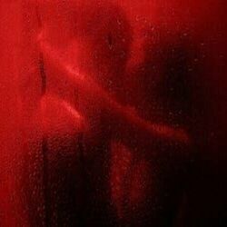 Cover of Rain Inside