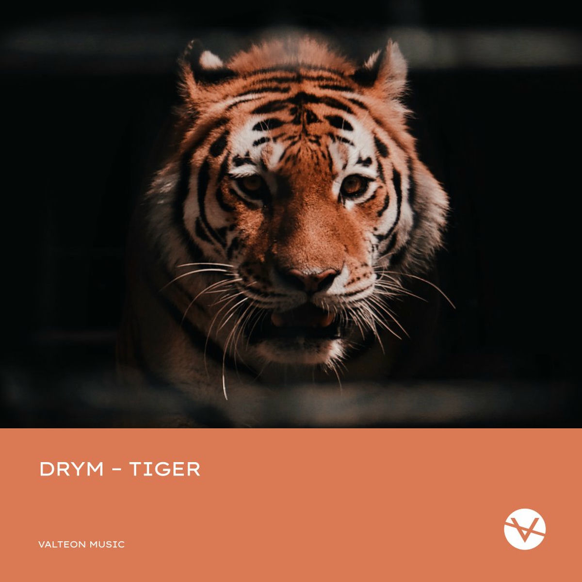 Album cover of Tiger