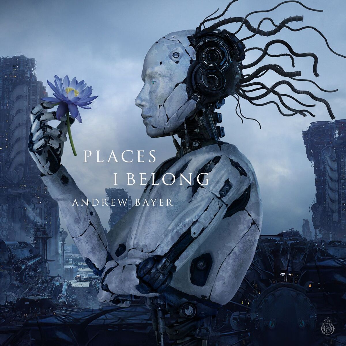 Album cover of Places I Belong