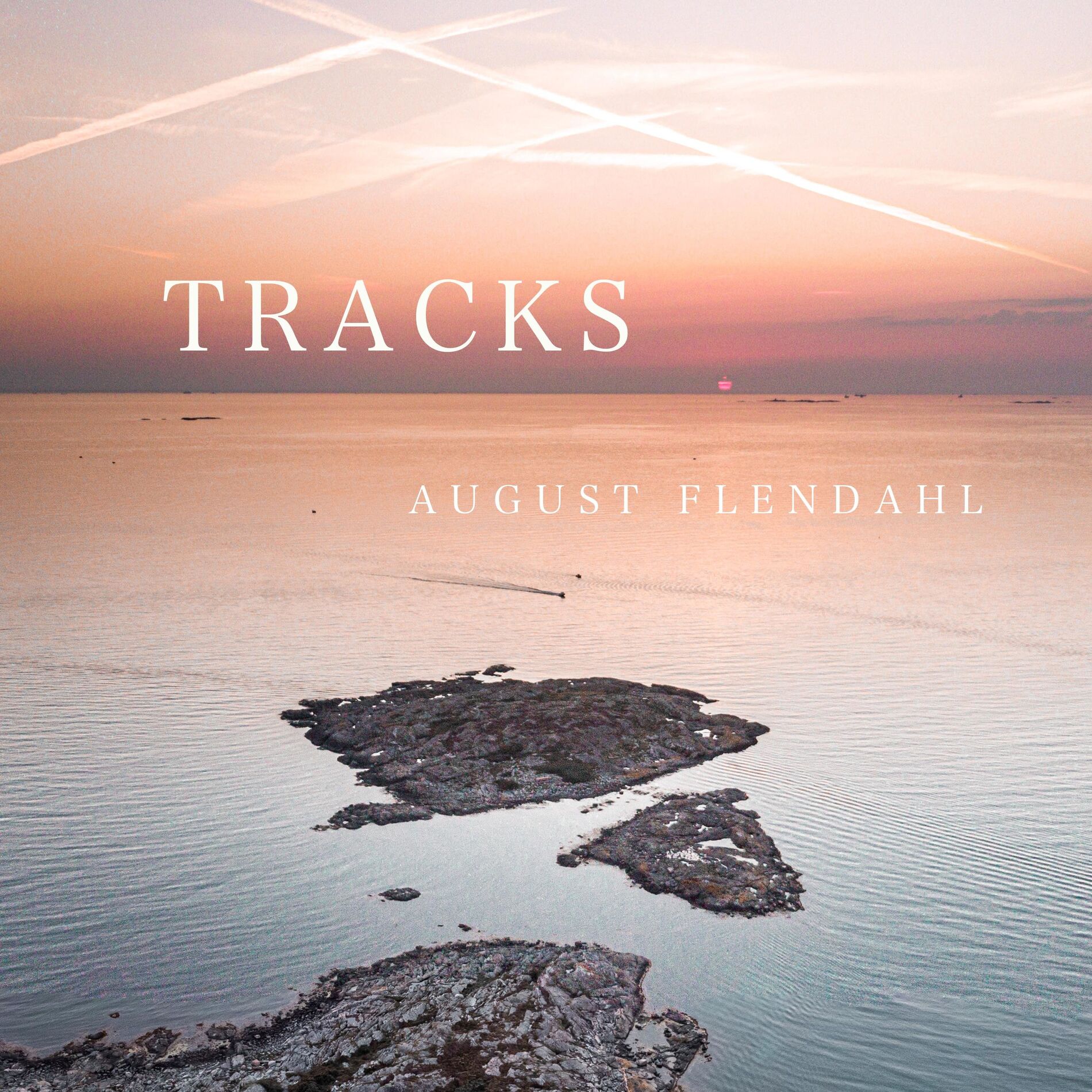 Album picture of Tracks