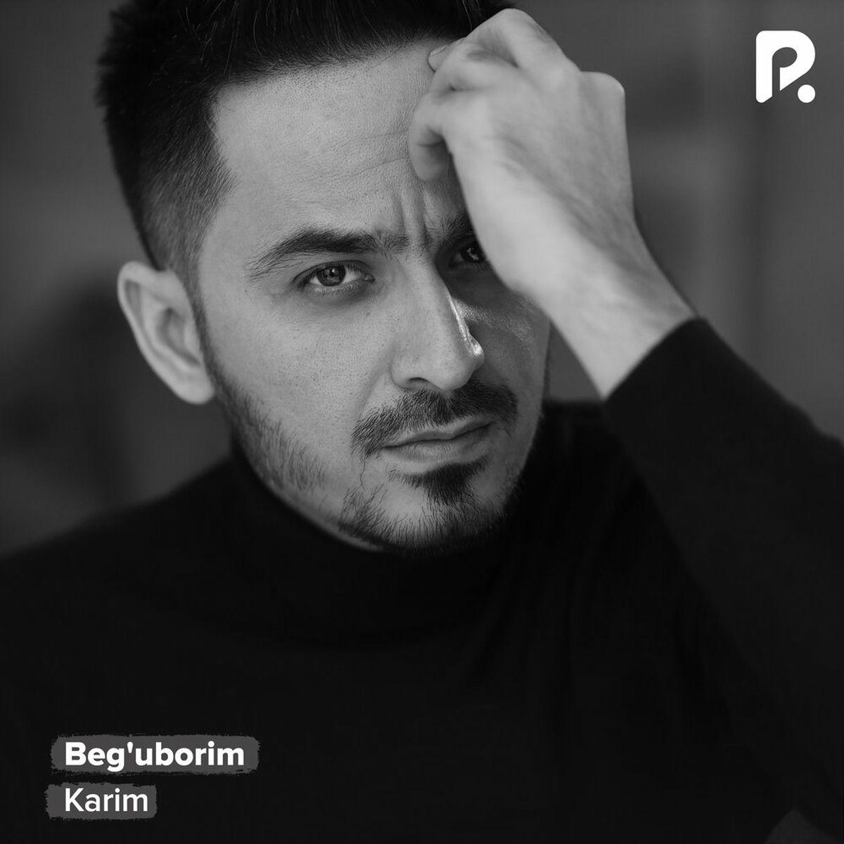 Album cover of Beg'uborim