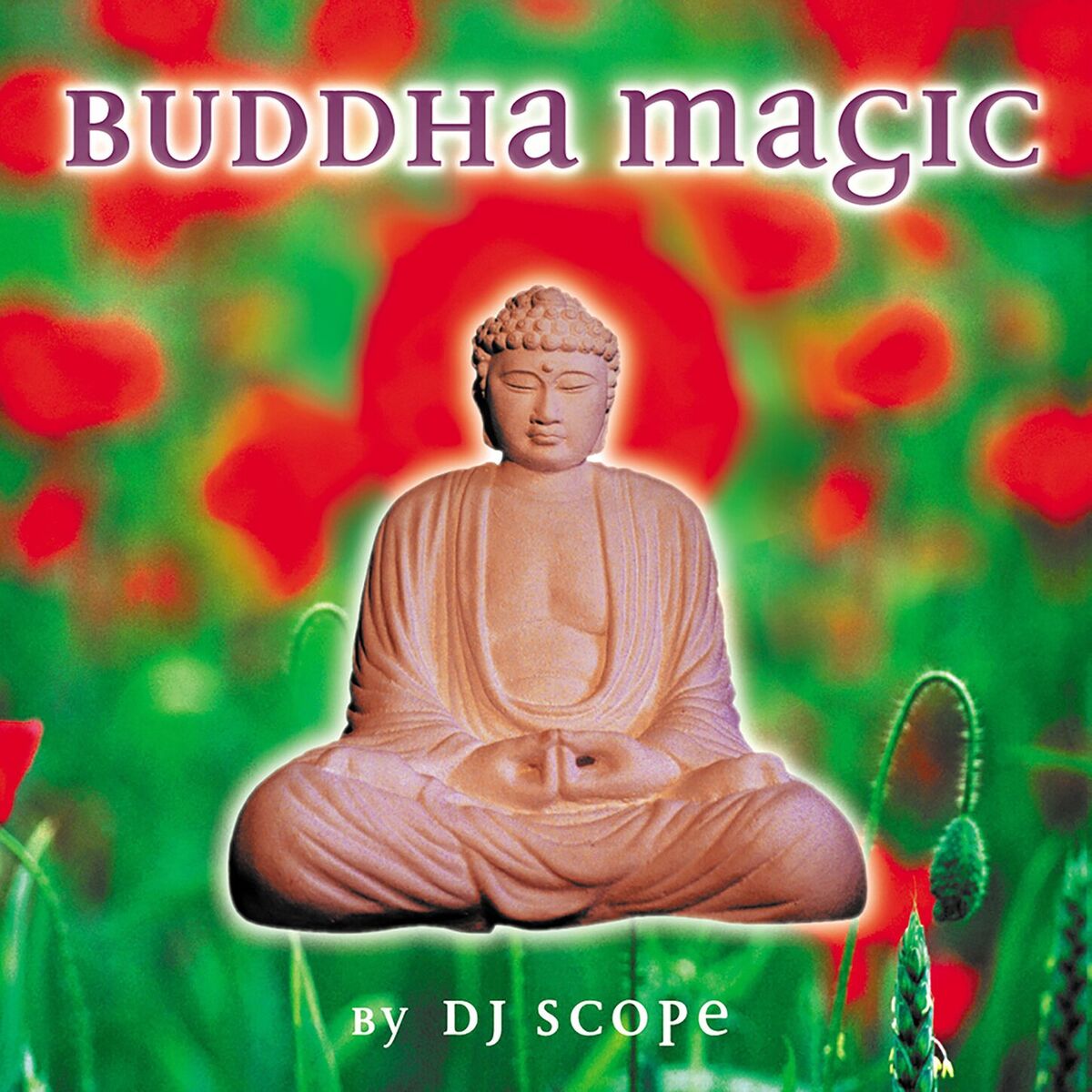 Album cover of Buddha Magic