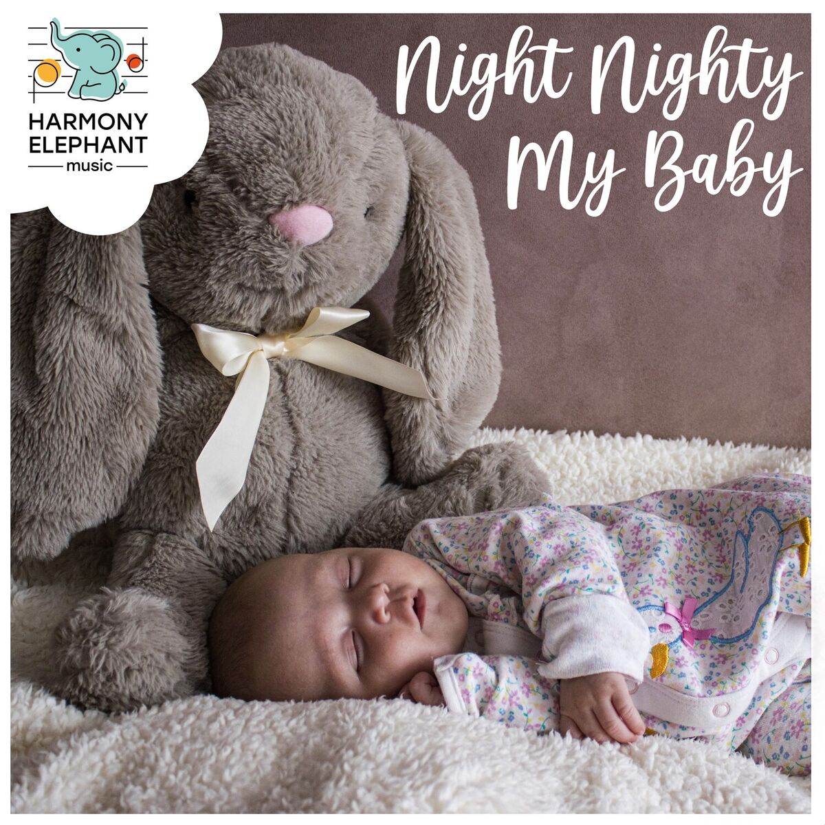 Album cover of Nights Composure and Dreams