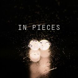 Cover of In Pieces