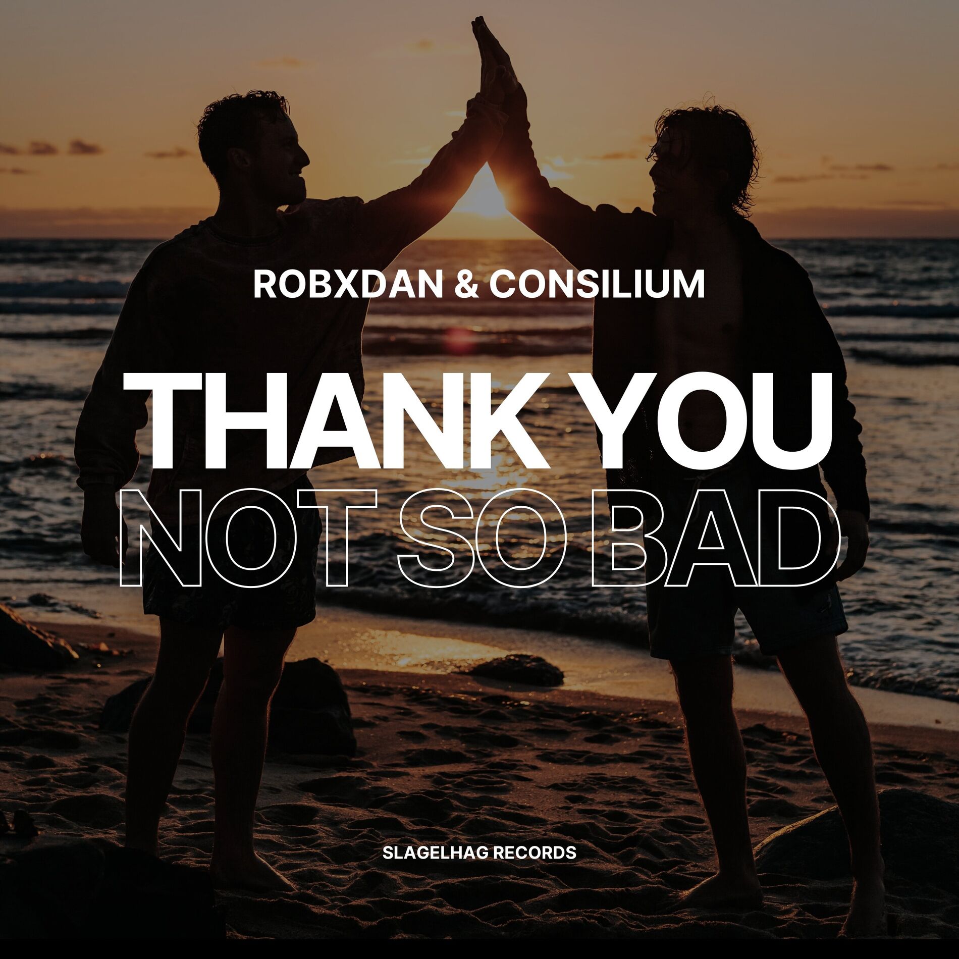 Album cover of Thank You (Not So Bad)