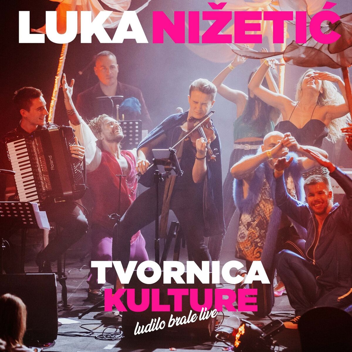 Album cover of Ludilo Brale (Live Tvornica Kulture)