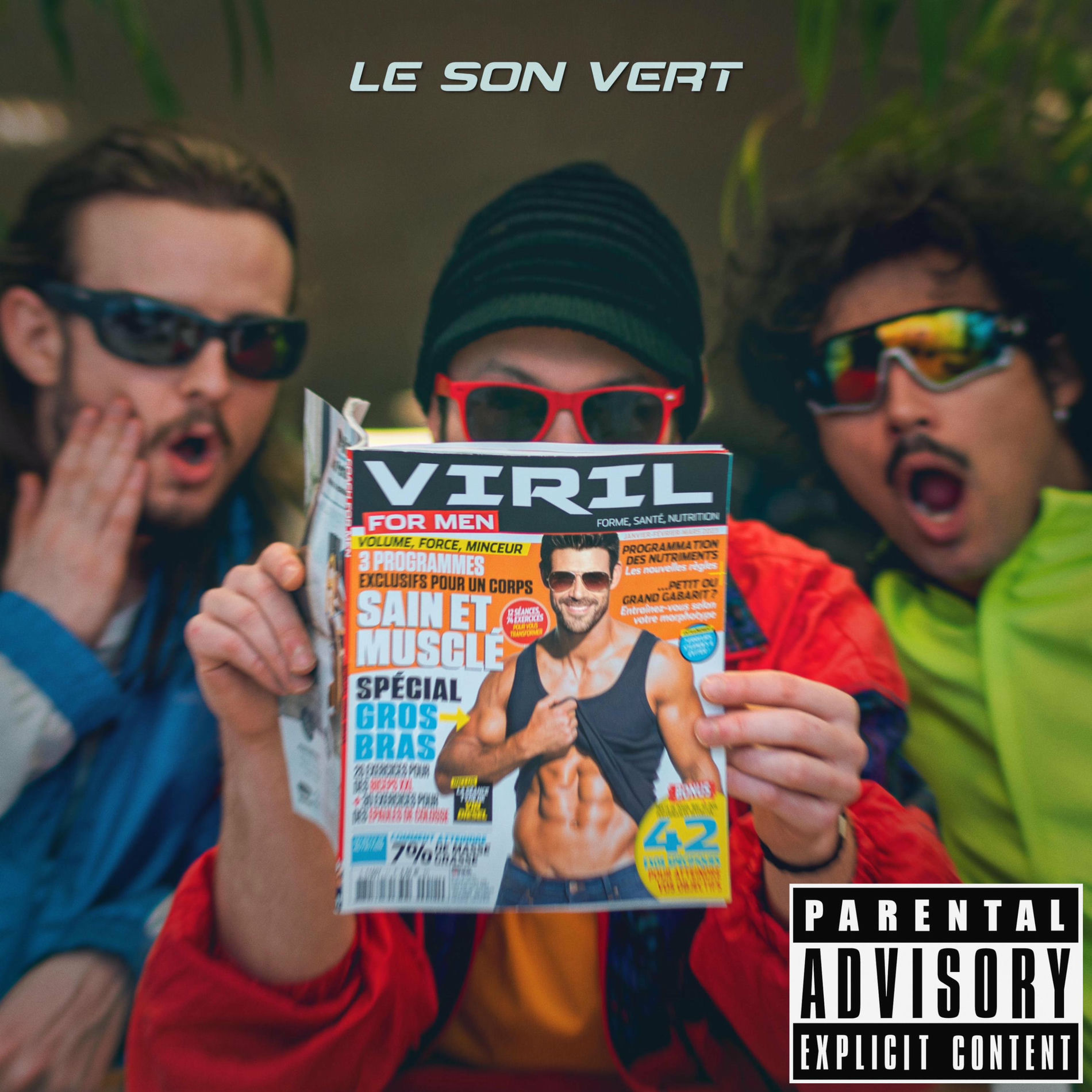 Album cover of Viril