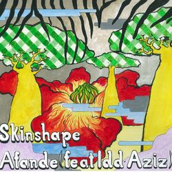 Cover of Afande